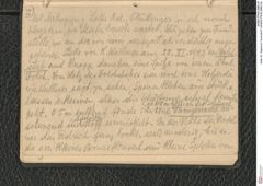 Seite 30, Tagebuch "Inzersdorf" (NHMW-PRAE-BBB-24)